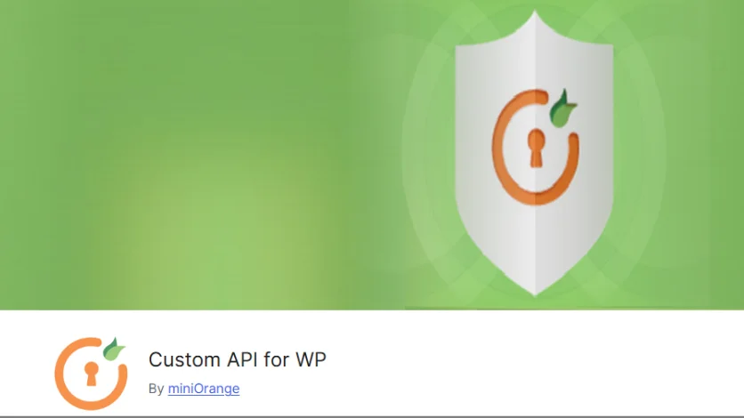 7 Best WordPress Rest API Plugins In 2025 2 Custom API for WP Image