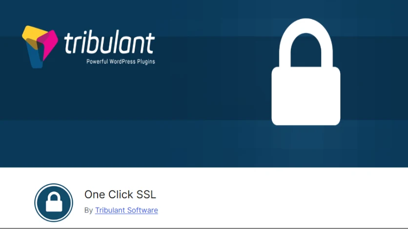 8 Best WordPress SSL plugins In 2025 6 One Click SSL Image